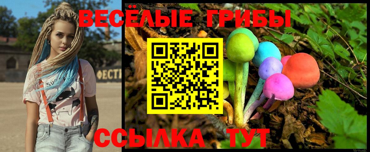 Якутск  Галлюциногенные грибы GOLDEN TEACHER  Вход с VPN 